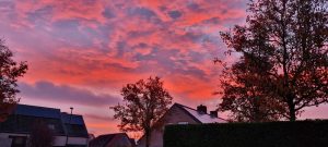 Week in beeld – week 46