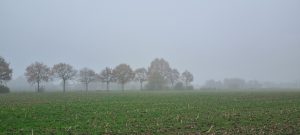 Week in beeld – week 47