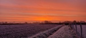 Week in beeld – week 48