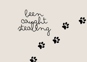 Been Caught Stealing #wedraaiendoor