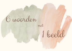 6 woorden met 1 beeld (januari)