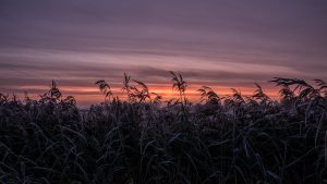 2025 in foto’s – deel 2