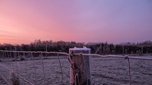 Zonsopgang in de Ververij