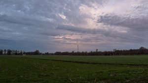 Week in beeld – week 51