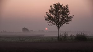 2025 in foto’s – deel 1