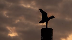 Zonsopgang bij le Blockhaus du Hourdel