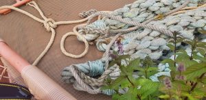 De knoop is doorgehakt