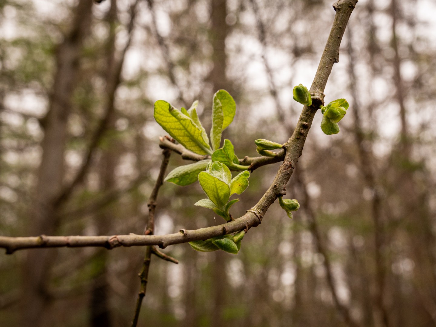 Week in beeld – week 13