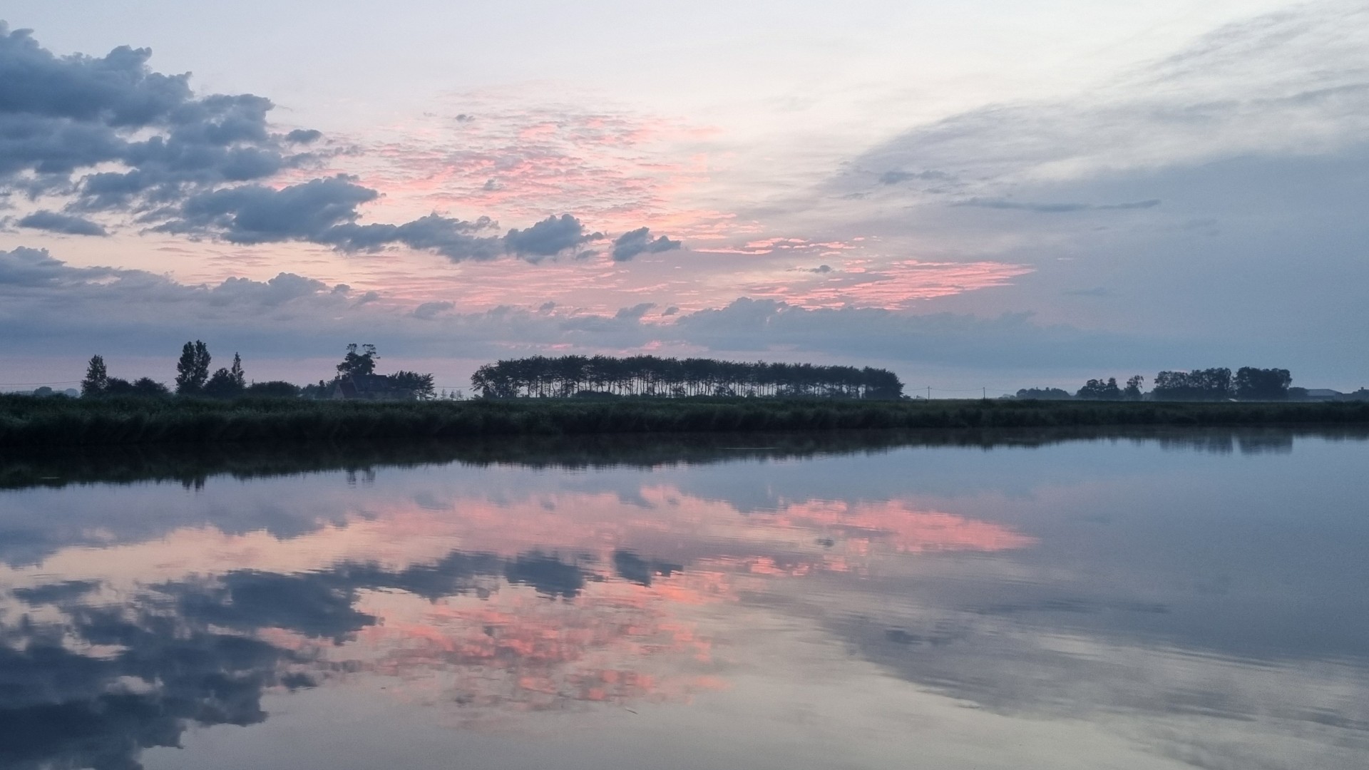 Week in beeld – week 25