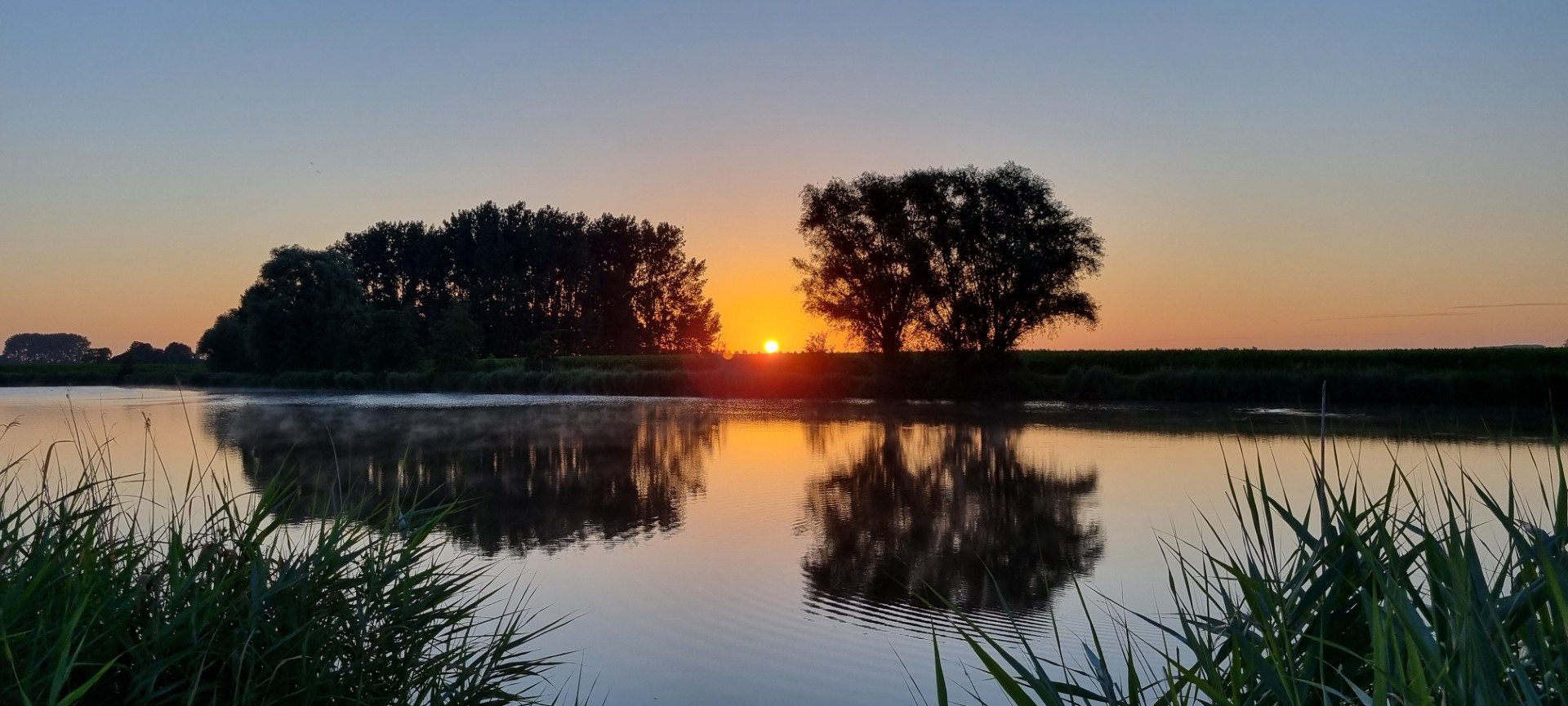 Week in beeld – week 26