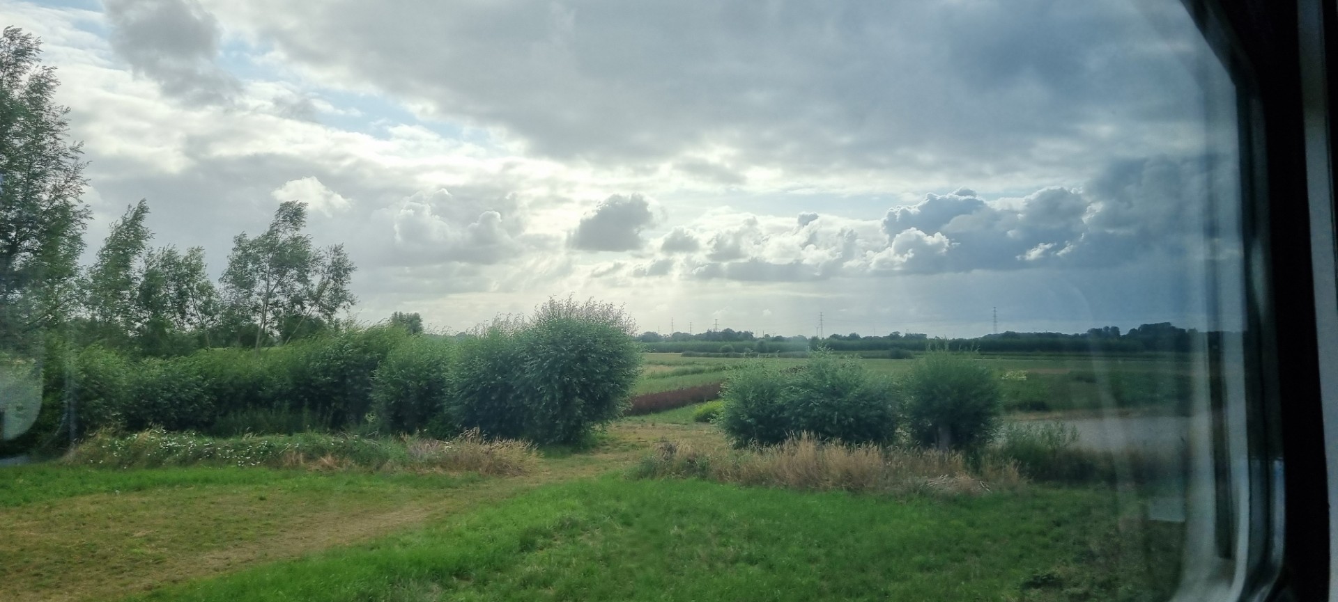 Week in beeld – week 29