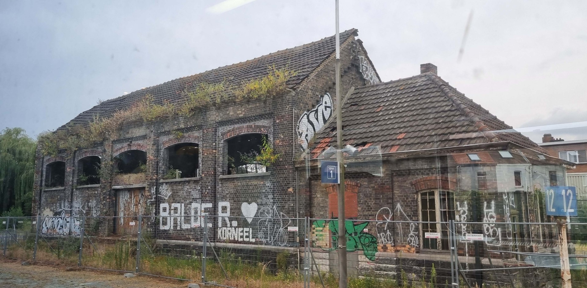 Week in beeld – week 30