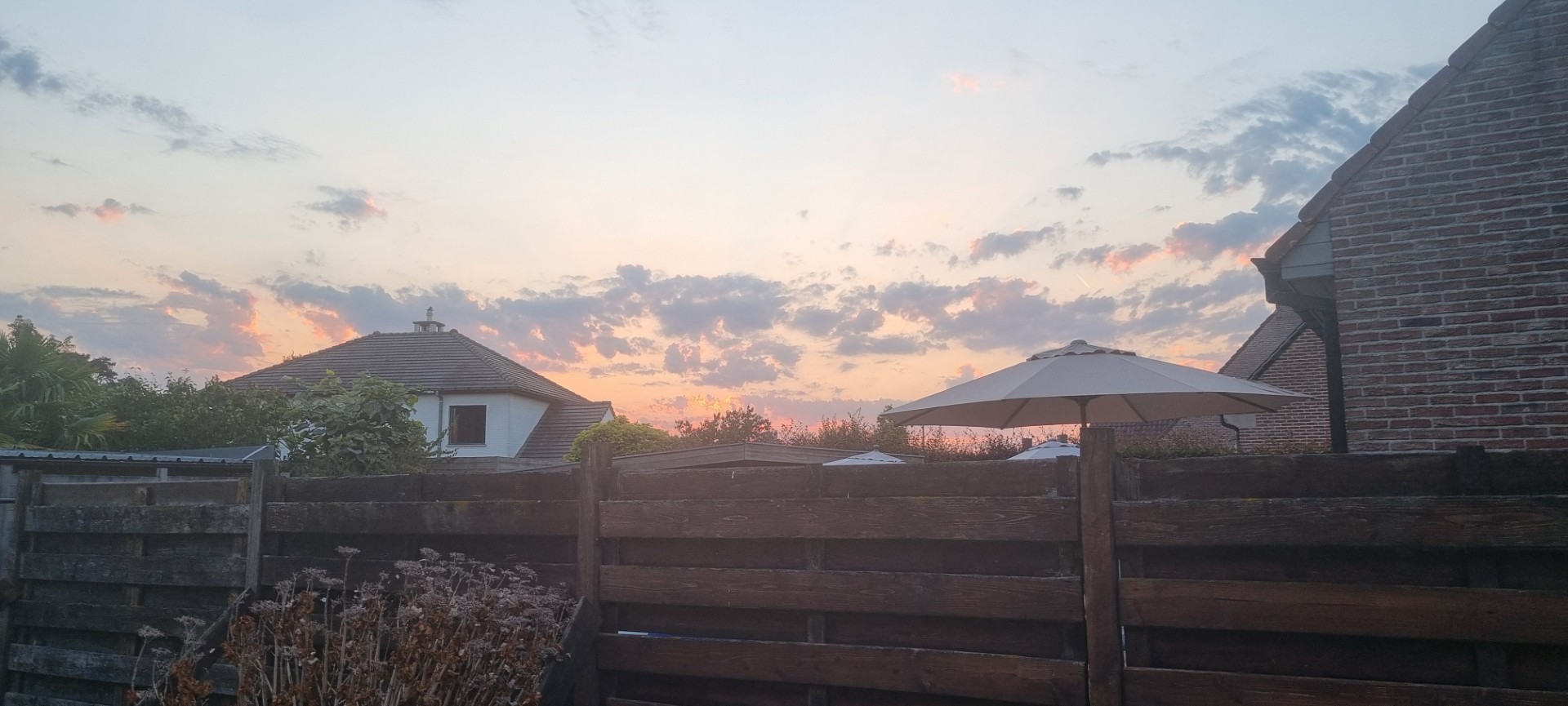 Week in beeld – week 32