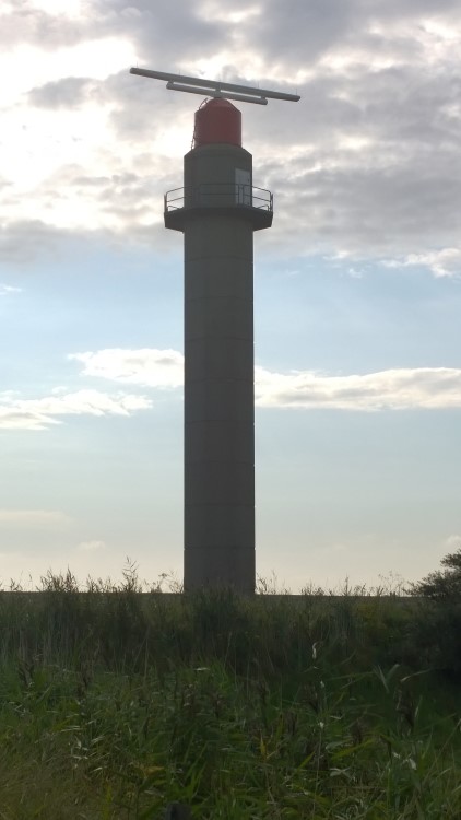 WP_20140803_09_07_54_Raw