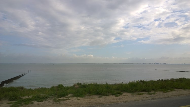 WP_20140803_09_42_35_Raw